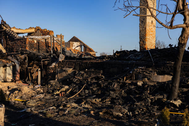 Reliable Fire Damage Restoration contractor in Crystal Beach, FL by Fire Damage Doption